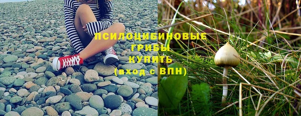 mix Армянск