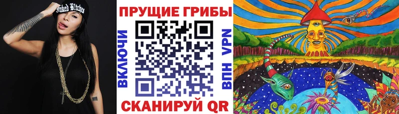 Псилоцибиновые грибы мухоморы  где можно купить   Салаир 